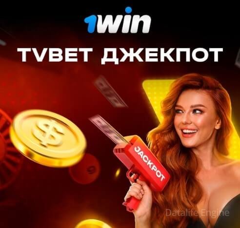 провайдер казино и ставок tvbet