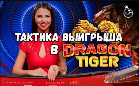 Тактика выигрыша в Dragon Tiger: лучшая готовая схема заработка с нуля