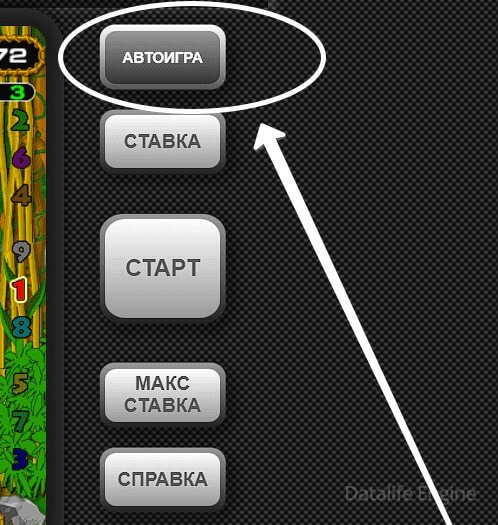 автоигра в крейзи тайм