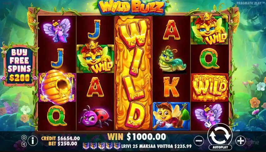 3 Buzzing Wilds Gameplay